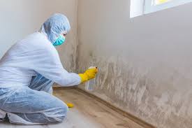 Best Mold Odor Removal Services  in Cattaraugus, NY